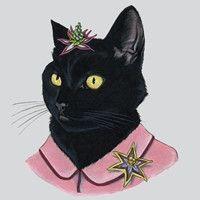 探索2017年最新微信頭像趨勢，時尚、個性與獨特風(fēng)格的融合